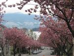IMG_0016_001.jpg