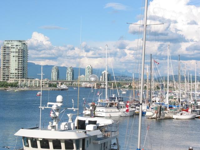 100_0005_STB_2.jpg