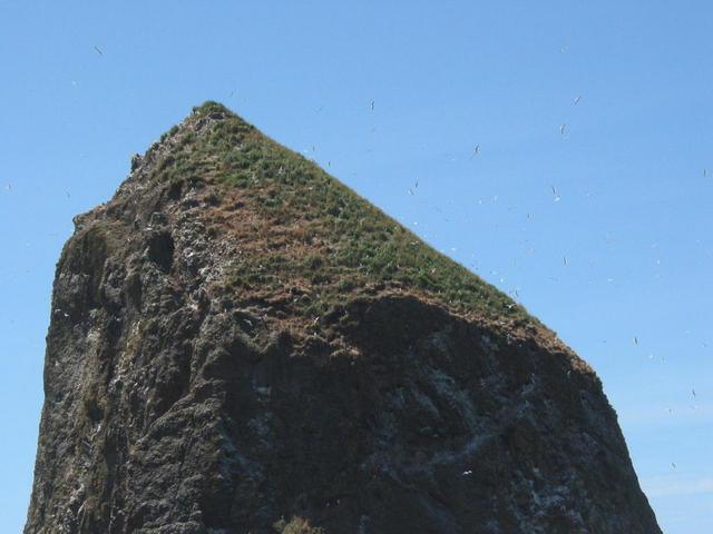 Summer road trip 08 047.jpg